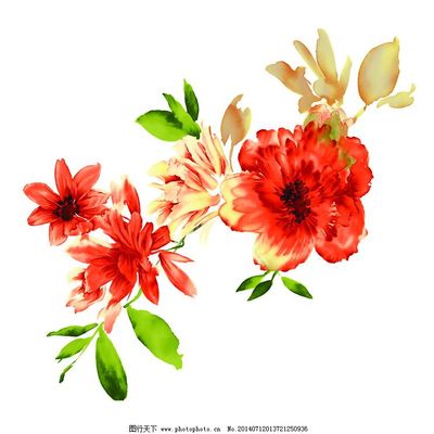 自然之筆 位圖風(fēng)格下的寫(xiě)意花卉藝術(shù)與免費(fèi)素材應(yīng)用