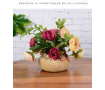 探秘花卉產(chǎn)品庫 從傳統(tǒng)審美到科技創(chuàng)新的綠色世界